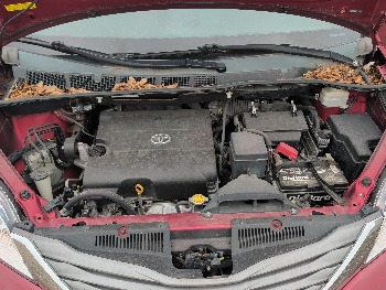 2011 toyota sienna limited-7-pass-v6 with 217246 miles for sale near elk-river, minnesota 106553_49_engine_bay.jpg
