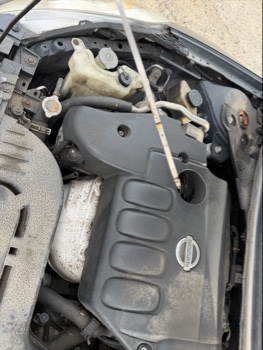 2010 nissan altima 2.5-s with 231356 miles for sale near elk-river, minnesota 106560_50_oil_dipstick.jpg
