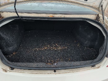 2005 dodge stratus with 83806 miles for sale near Elk River, Minnesota 106577_26_trunk.jpg