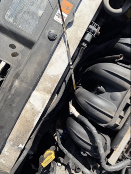 2008 ford focus ses-sedan with 288350 miles for sale near Elk River, Minnesota 106610_50_oil_dipstick.jpg