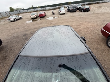 2005 nissan altima 2.5 with 177729 miles for sale near Elk River, Minnesota 106623_11_roof.jpg