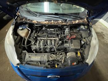 2011 ford fiesta se-hatchback with 142708 miles for sale near elk-river, minnesota 114f45a76e1e4b098f1a458f30353e35.jpeg