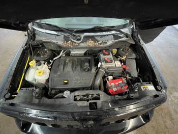 2015 jeep patriot latitude-4wd with 51249 miles for sale near elk-river, minnesota 121aa0e9732a44eeb926dbff965df731.jpeg