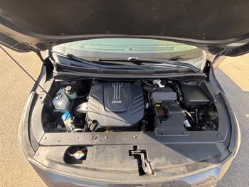 2017 kia sedona lx with 142893 miles for sale near elk-river, minnesota 1381f58c8a304ddfa19d3d9cc90d2e0d.jpeg