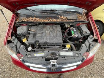 2010 dodge grand-caravan sxt with 121291 miles for sale near elk-river, minnesota 15d4050f32b143e8b18c49c3895a6287.jpeg