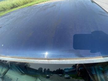 1995 ford f-150 special-reg.-cab-short-bed-2wd with 162748 miles for sale near elk-river, minnesota 177b7d989be142e1962e475bbb8c9d64.jpeg