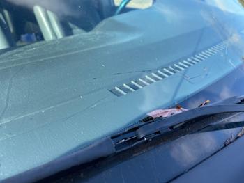 2004 honda odyssey ex-w--leather with 204129 miles for sale near elk-river, minnesota 181ec719328f42849762d638438e62e5.jpeg