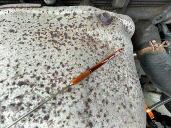 2004 toyota camry le with 211412 miles for sale near elk-river, minnesota 18f7020632584c768a6834abb0092110.jpeg