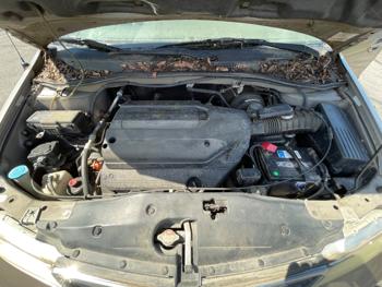 2004 honda odyssey ex with 123428 miles for sale near elk-river, minnesota 1a560ade13d04a8cb79fa1e51bb70f2e.jpeg