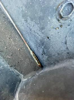 2012 chevrolet malibu 1lt with 171863 miles for sale near elk-river, minnesota 1affb3110da449b3964bf2b656e91569.jpeg