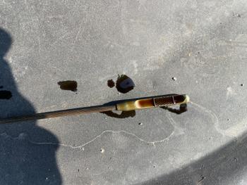 2009 honda odyssey exl with 236095 miles for sale near clearwater, minnesota 1c01d22350f94067b2125cb6704ca0e4.jpeg