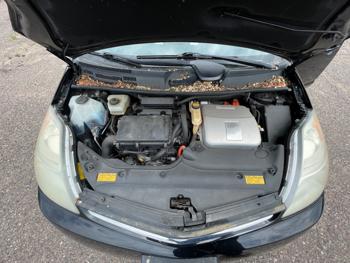 2006 toyota prius 4-door-liftback with 142541 miles for sale near elk-river, minnesota 1c7af2b5ff32432190ede09b7af47bcd.jpeg