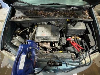 2001 toyota sienna le with 169382 miles for sale near elk-river, minnesota 1f617c9f7f76459fa45639b5ca7b87c8.jpg