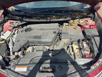 2015 nissan altima 2.5-sl for sale near elk-river, minnesota 1f6d950d587c4ff8ae3ea2dd5b2ab4a4.jpeg