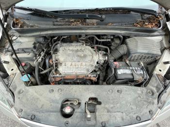 2005 honda odyssey touring with 295779 miles for sale near elk-river, minnesota 20124cf66bd84a57b909c9782e317e68.jpeg