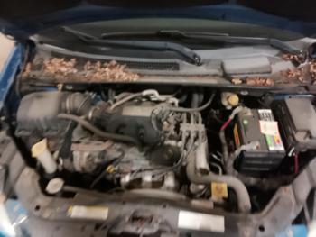 2008 dodge grand-caravan sxt with 130543 miles for sale near elk-river, minnesota 20decd31dc2e404dbe769fa96e6933dd.jpg
