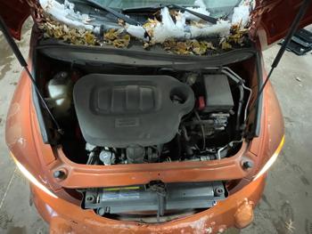 2008 chevrolet hhr ls with 127725 miles for sale near elk-river, minnesota 24a5ff419df6444ea5bbe2bfe7137fc9.jpeg