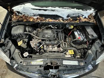 2009 dodge grand-caravan sxt with 187638 miles for sale near elk-river, minnesota 25254198abdc41dda6a30ef30c980aaa.jpeg