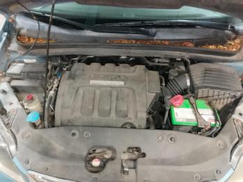 2006 honda odyssey ex-l with 289234 miles for sale near elk-river, minnesota 2535f236b6c249bdb92b502691042412.jpg