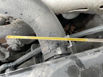 2005 lexus es-330 sedan with 177399 miles for sale near elk-river, minnesota 255241d42d83425f8eedc6f5f197da4a.jpeg