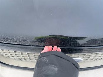 2003 ford f-150 xlt-supercrew-4wd for sale near rice, minnesota 2925263ccebc4a8ba343aed0273c3b1f.jpeg