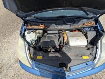 2005 toyota prius 4-door-liftback with 236528 miles for sale near elk-river, minnesota 29e6f57812ca4e0e941f9700e8c756c6.jpg