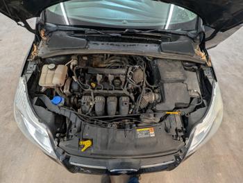 2013 ford focus se-sedan with 218887 miles for sale near elk-river, minnesota 29f8346e1d3e453e9e6243d19b2564f0.jpg
