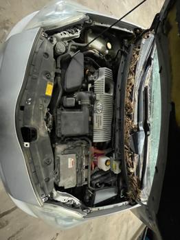 2010 toyota prius prius-ii with 252706 miles for sale near elk-river, minnesota 2bc8294fa4d54ac28ca0a80d7050851d.jpeg