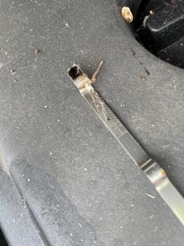 2005 nissan maxima se for sale near elk-river, minnesota 2c057c54f12d4ab1a7f282d54c3438d0.jpeg