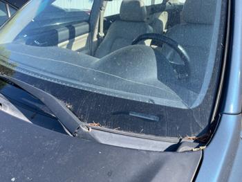 2006 subaru outback 2.5i-limited-wagon with 247359 miles for sale near elk-river, minnesota 2c3a079357d3429dbc01793607733377.jpeg