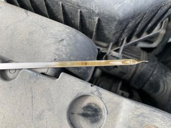 2014 hyundai accent gls-4-door with 39301 miles for sale near elk-river, minnesota 2cf3c419ecce49f3b09e902aa2f5f1f7.jpeg