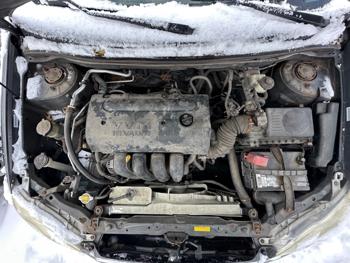 2007 toyota corolla ce with 299999 miles for sale near elk-river, minnesota 2d7a0123eaad421f9c0cf319d39b18c9.jpeg