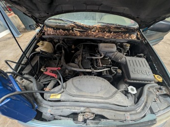 2004 jeep grand-cherokee laredo-4wd with 184162 miles for sale near elk-river, minnesota 319f67423e0f494d8e7b49cc39e52f10.jpg