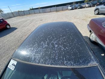 2001 toyota camry ce with 228216 miles for sale near elk-river, minnesota 32b2c869ec7e478b9ca422ed67ae9a25.jpeg