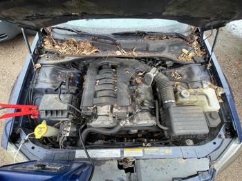 2005 dodge magnum sxt-awd with 245773 miles for sale near elk-river, minnesota 32da452ff8424a9ea555af541f37951a.jpeg