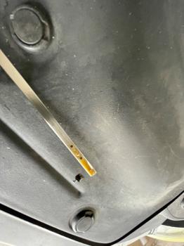 2003 honda pilot ex with 233358 miles for sale near elk-river, minnesota 34adc5d3138e4a2f8be9b1c8cf4898ab.jpeg