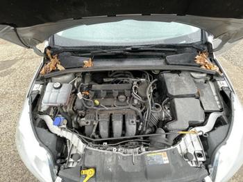 2014 ford focus se with 160619 miles for sale near elk-river, minnesota 36aa4766b1cb49d686fb1c5f50f4a8e7.jpg