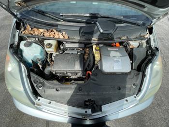 2008 toyota prius 4-door-liftback with 180197 miles for sale near elk-river, minnesota 3776a13da754462ea0babea531c6e987.jpeg