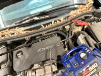 2017 chevrolet cruze lt-auto-hatchback with 84214 miles for sale near elk-river, minnesota 38712d83f86b43a697e14b8349fd2198.jpeg