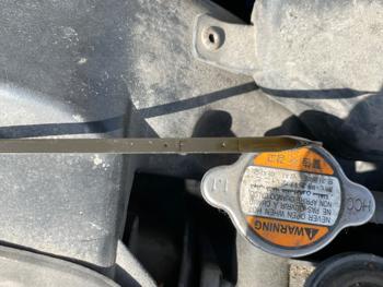 2006 hyundai sonata gls with 183756 miles for sale near elk-river, minnesota 38f7f6cb3efd4c2fa1770dc0d8235bc2.jpeg