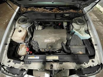 1999 buick lesabre limited with 123942 miles for sale near elk-river, minnesota 3a141e2c9a674a82b74bad51ce9d2f36.jpg