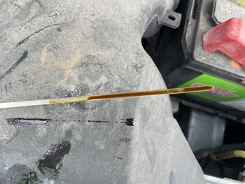 2004 toyota sienna xle with 207105 miles for sale near elk-river, minnesota 3a348c6bd25943d0ad02235ff1ab5019.jpeg