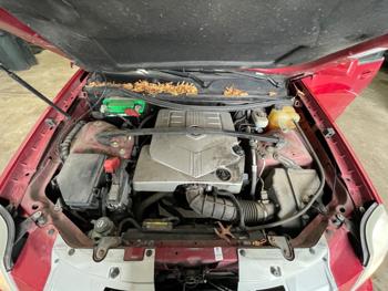 2009 cadillac srx v6 with 123379 miles for sale near elk-river, minnesota 3a83bd12d6bd4862bbb3bf76ff333230.jpeg