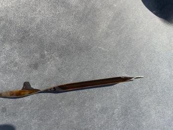 2013 chevrolet silverado-1500 lt-ext.-cab-long-box-4wd with 285563 miles for sale near shakopee, minnesota 3b5773a938c642338823fdc53cbad587.jpeg