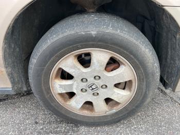 2004 honda odyssey ex-w--leather-and-dvd with 185939 miles for sale near elk-river, minnesota 40389119833e46bfab6d7527f5baa3ca.jpeg