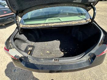 2007 toyota camry with 263063 miles for sale near elk-river, minnesota 43496c083d344a1ab10e3e44bd577757.jpeg