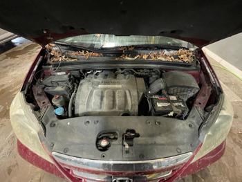 2005 honda odyssey ex-l with 313800 miles for sale near elk-river, minnesota 4399dbd9f8534a3b843cb2d88bfa9169.jpeg