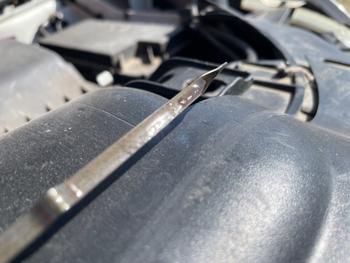 2010 dodge journey sxt with 134396 miles for sale near avon, minnesota 45a6ea7c328049fea2dea369153280fd.jpeg