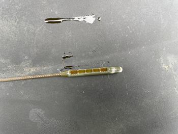 2016 chevrolet traverse 1lt-awd with 123372 miles for sale near rochester, minnesota 470d476fa5e842408c87a983394eb0ca.jpeg