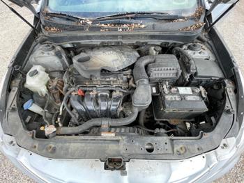 2011 hyundai sonata gls with 133145 miles for sale near elk-river, minnesota 489a9ba2a2ba4583b1772a43c4bbe039.jpg